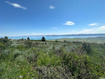 Photo 5 for 2610 S Panorama Cir