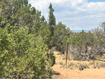 Photo 3 for 4842 W 1375 S
