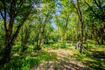 Photo 6 for 1074  Edgewood Dr #1074