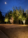 Photo 6 for 5644 S Ridge Crest Drive #3  ##3