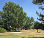 Photo 2 for 1580 E 900 S #d