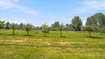 Photo 6 for 538 N Pine Canyon Rd