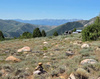 Photo 1 for 3350 N Oak Canyon Rd