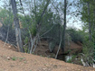 Photo 2 for Address Not Available