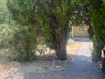 Photo 2 for 644 S Grand St