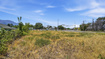 Photo 6 for 190 W Main