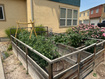 Photo 6 for 3719 W Mandrake Way