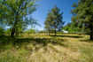 Photo 3 for 281  Panoramic Dr