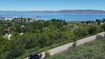 Photo 1 for 753 N Blackberry Dr