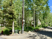 Photo 3 for 12498 E Wilderness Rd