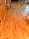 Photo 2 for 153 W Hidden Hollow Cir