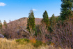 Photo 5 for 7092  Canyon Dr