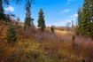 Photo 6 for 7092  Canyon Dr
