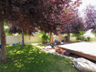 Photo 6 for 11103 S Alpine Creek Way