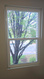Photo 6 for 555  Star Crest Dr #b-20