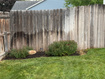 Photo 6 for 4244  Westlake Dr