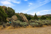Photo 6 for 3272 W Old Highway 120