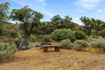 Photo 5 for 3272 W Old Highway 120