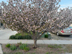 Photo 2 for 501 W 670 N