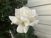 Photo 4 for 501 W 670 N