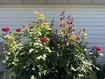 Photo 4 for 501 W 670 N