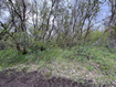 Photo 6 for 144 Bear Tooth Rdg