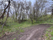 Photo 5 for 144  Bear Tooth Rdg