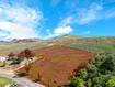 Photo 1 for 15610 N Beaver Dam Rd