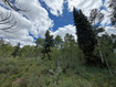Photo 5 for 5451 E Targhee Dr