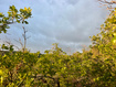 Photo 6 for 1556 S Tree Top Ln