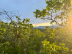 Photo 1 for 1556 S Tree Top Ln
