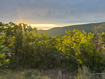 Photo 4 for 1556 S Tree Top Ln
