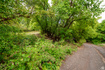 Photo 1 for 1422 Basel Dr
