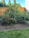Photo 2 for 1360 E Shady Way