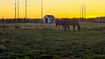 Photo 4 for 1672  Equestrian Park Way