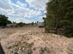 Photo 5 for 560 E 750 N