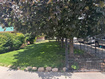 Photo 5 for 2279 E Keller Ln