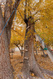 Photo 3 for 1757 N 1600 W