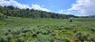 Photo 5 for 22991 E Alta Dr
