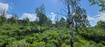 Photo 4 for 22991 E Alta Dr