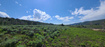 Photo 3 for 22991 E Alta Dr