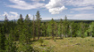 Photo 1 for 5828 Pineview Rd