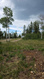Photo 5 for 5828 Pineview Rd