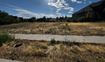 Photo 2 for 803 N Alpine Blvd