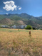 Photo 1 for 803 N Alpine Blvd