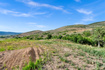 Photo 4 for 1221  High Country Ln