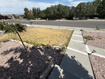 Photo 3 for 702  Elk Meadow Loop