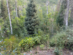 Photo 1 for 819 North Fork Rd