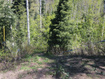 Photo 4 for 819 North Fork Rd
