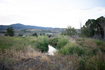 Photo 4 for 395 W Buttercup Ln